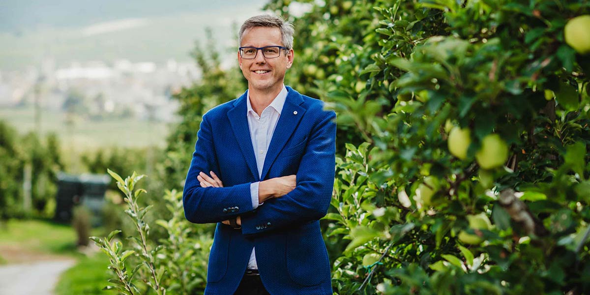 Mele: stop nuove varietà, è ora di consolidare